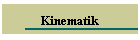 Kinematik